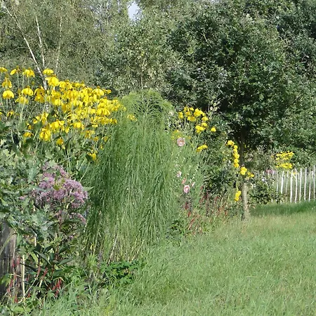Heidezauber *