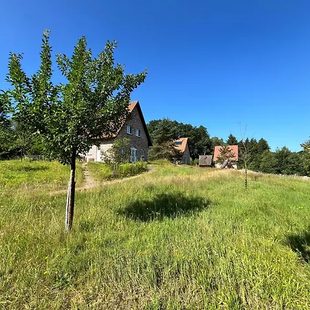 Heidezauber